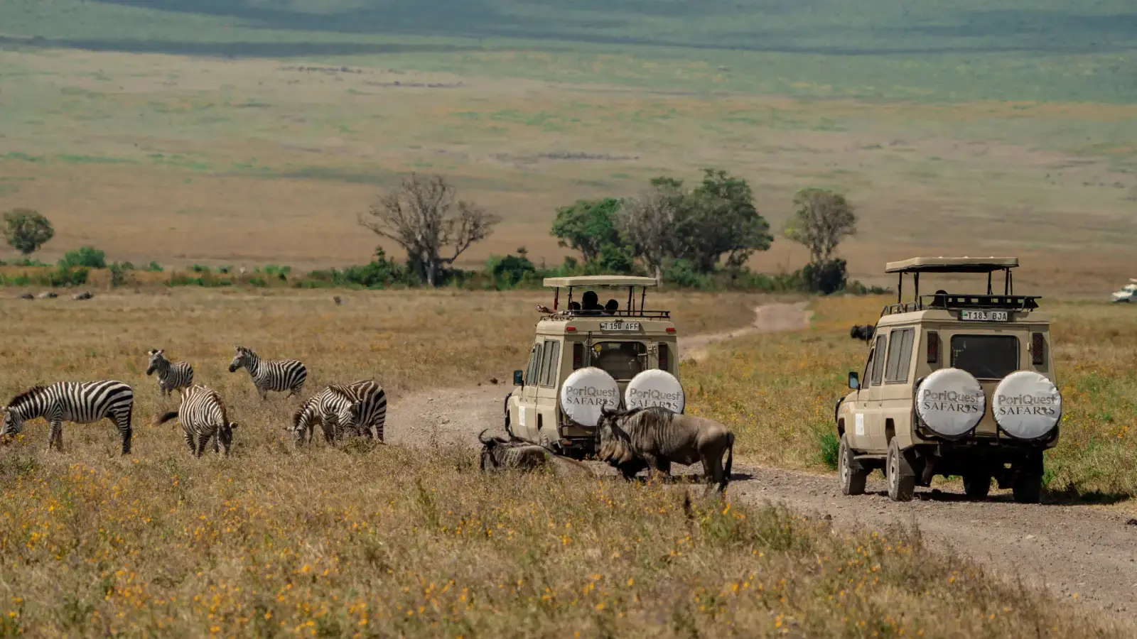 Serengeti National Park