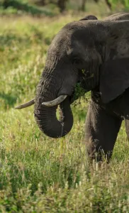 Serengeti National Park