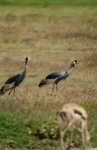 Serengeti National Park