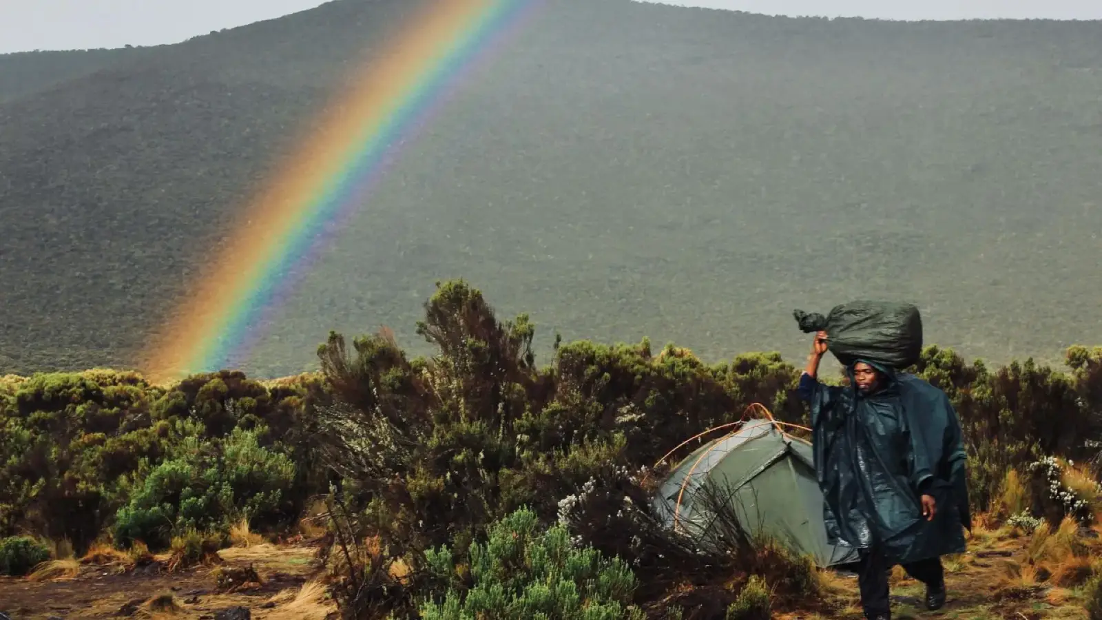 Walking & Bush Safaris