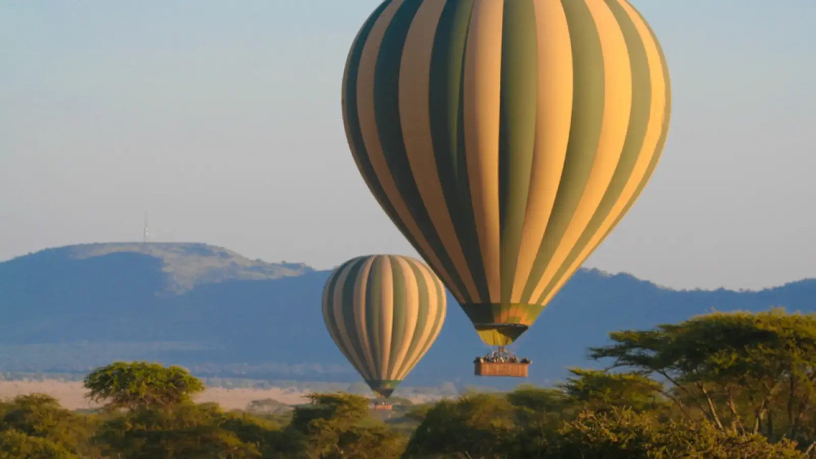 Hot Air Balloon Safari