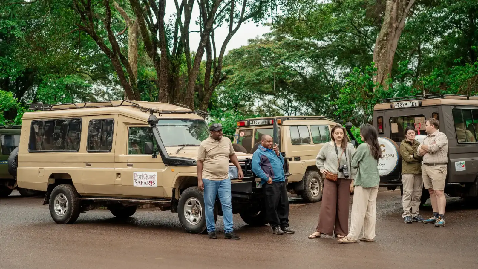 Safari Tours